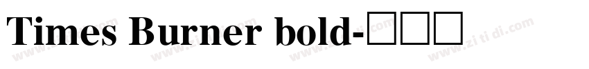 Times Burner bold字体转换